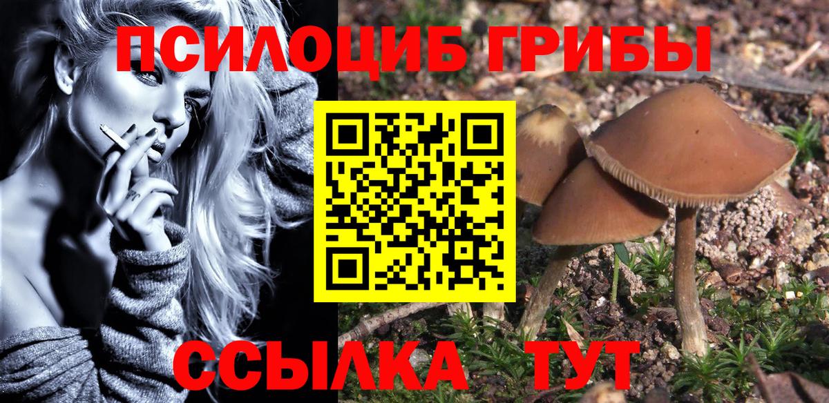 Галлюциногенные грибы Cubensis Тулун