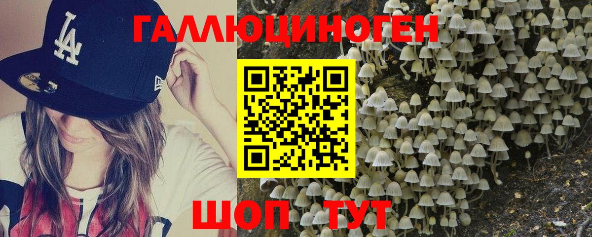 Галлюциногенные грибы мухоморы  Псилоцибиновые грибы мухоморы  Тулун  Вход с VPN 